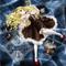 W{ -maiden collector-