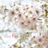  Suara摜