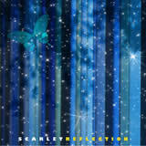 ̕/SCARLET摜