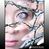 White Rose/Murata Eri feat.limitbreak摜