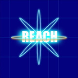 REACH摜