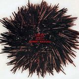 Funky Stuff/LIZZY MERCIER DESCLOUX摜