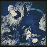Tangled/MONORAL摜