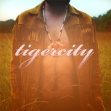 Powerstripe/Tigercity摜