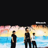 i͂؂ɉԂ͍炩Ȃj/Bleach摜