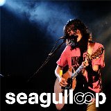 ͂Ȃނ̎/seagulloop摜