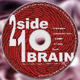Pineapple/2side1BRAIN摜