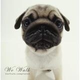 w.h.o.?/Quartet Vacation摜