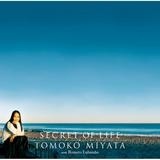 What My Heart Does/Tomoko Miyata摜