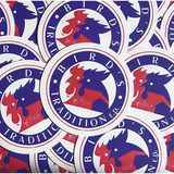 Dazzling Fight/COMEBACK MY DAUGHTERS摜