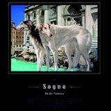 Sogno/cq摜