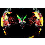PRETTY LITTLE ANGEL EYES/UE{bp[Y摜