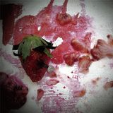 pink bear  feather blows -Slaughter House Remix-/Teddy摜
