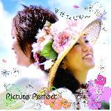 /Picture Perfect摜