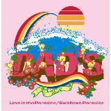 Love in the Paradise/DADS摜