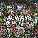Never Ending Story/Peach Jam摜