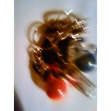 M^[/red-tea摜