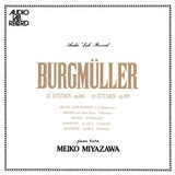 25̗K i100 25 Mwl̏n/{򖾎q isAmj摜