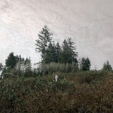 Cloudy Shoes/Damien Jurado摜