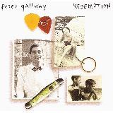 Worth Waiting For/Peter Gallway摜