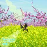 Pure song`V̑́`(IS[o[W)/ї摜