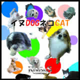 CkDOGlRCAT/CODE7203-KineSicS摜