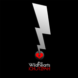PLASTIC JEBUS/THE WILDHEARTS摜