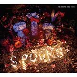 Dont Wait/THE BEAUTIFUL GIRLS摜