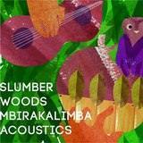 ̎/X̐l - MbiraKalimba Acoustics摜