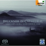 ebgW / {N AeBtH WAB.13/~V{N , `FRzR[X , o{[N & o[^摜