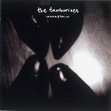 What took you so long/THE TAMBORINES摜