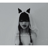 Playground Martyrs/DAVID SYLVIAN摜