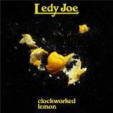 }X/LEDY JOE摜