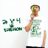 SO/CHEHON摜