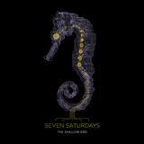 Lost Mammals/Seven Saturdays摜