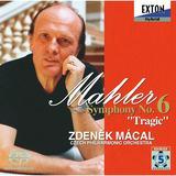  6 CZ uߌIv : 3y/YfjFNE}[c@ & `FREtBn[j[ǌyc摜