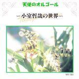 CRAZY GONNA CRAZY/Vg̃IS[摜