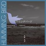 Humming Bird/㓡΋M摜