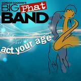 Hit the Ground Running/Gordon Goodwins Big Phat Band摜