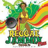 Muzik In My Soul/Sizzla摜