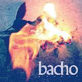 Qi/bacho摜