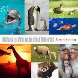 zbgEAE_tE[hȋf炵Ej/CEA[XgO摜