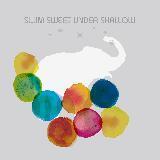 ̋l/SWIM SWEET UNDER SHALLOW摜