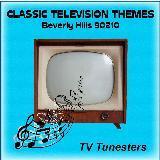 Beverly Hills 90210 (Original Theme 90)/TV Tunesters摜