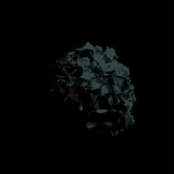 Cruel Sacrifice/ -LEON-摜