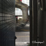 ׂЂ̉/[Champagne]摜