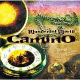 Wonderful World/camino摜