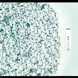 Youre Something Else/IF BY YES摜