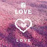 For Your Love/`bie,Princess and Sandy Gates摜