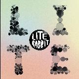 Rabbit/LITE摜